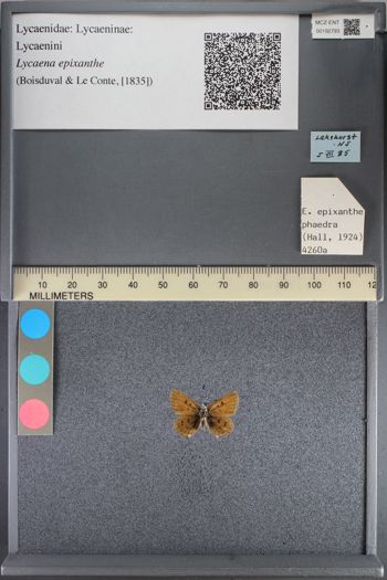 Media type: image;   Entomology 192793